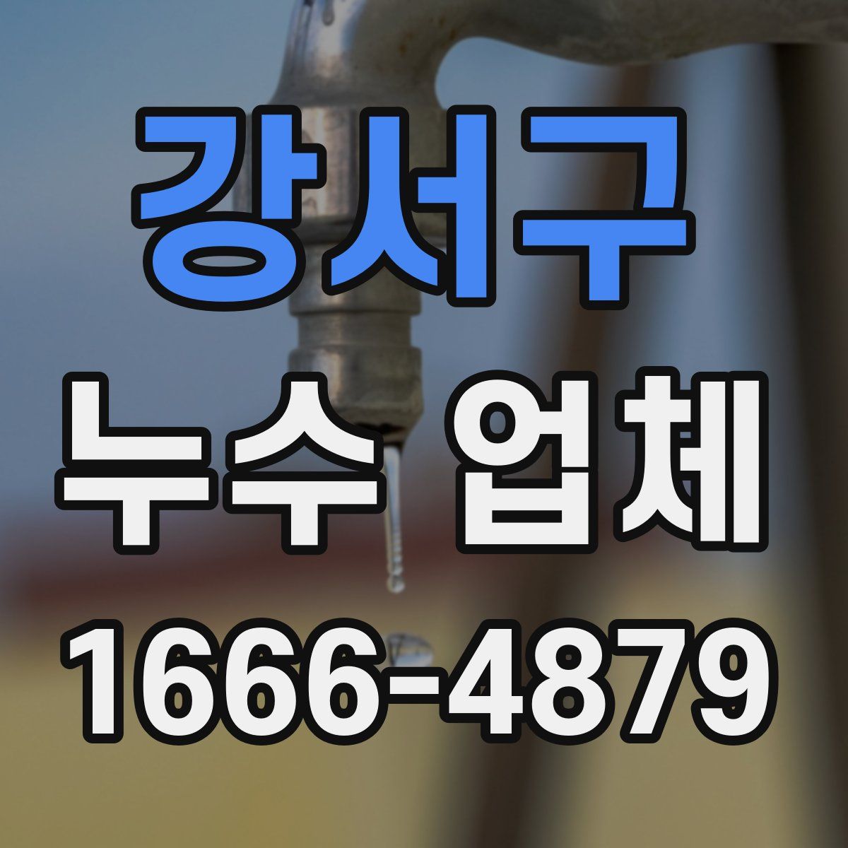 강서구 누수 업체