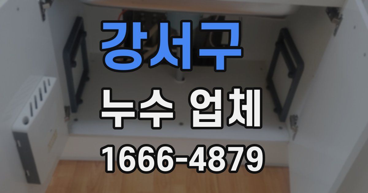 강서구 누수 업체