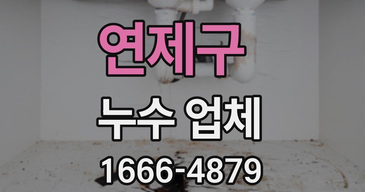 연제구 누수 업체