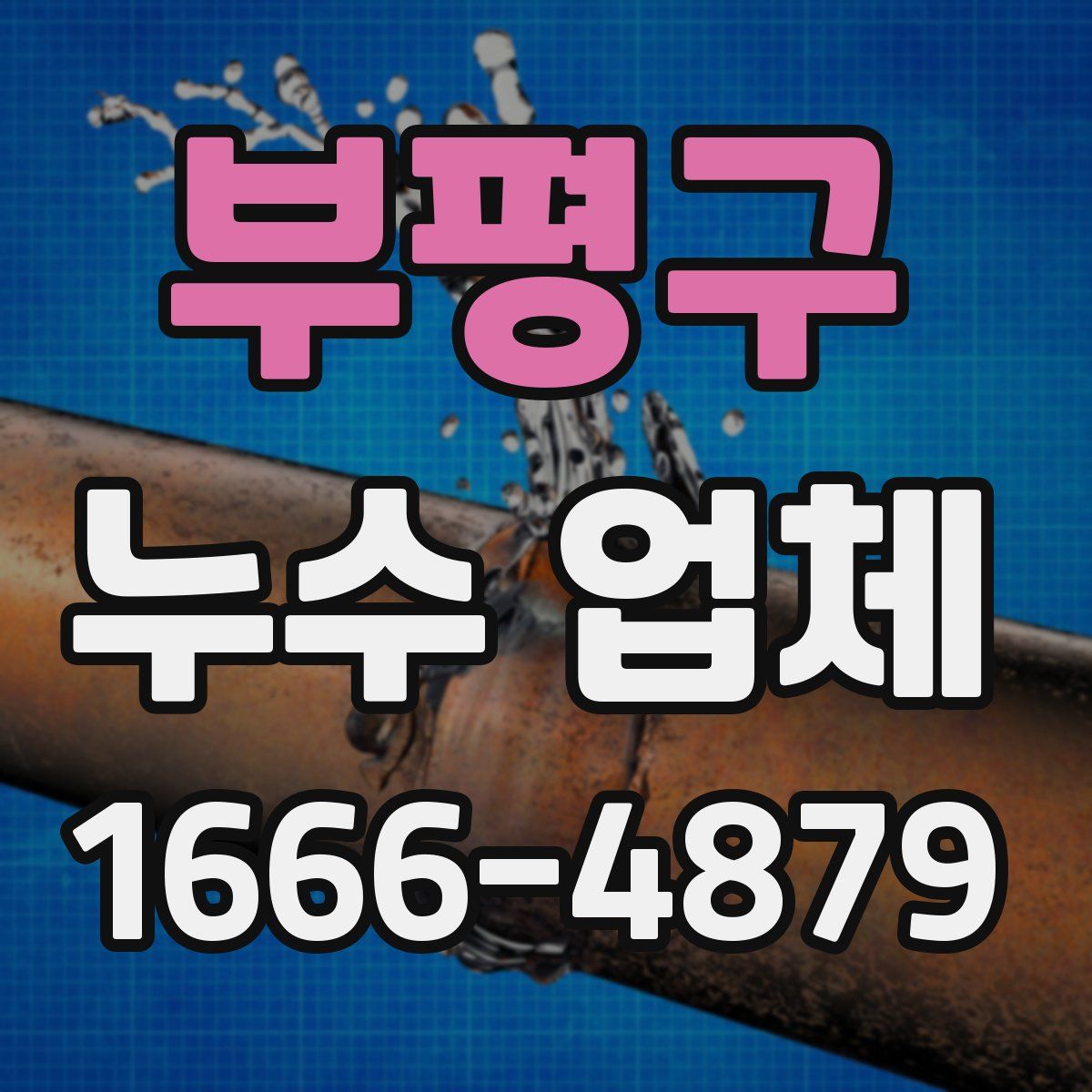 부평구 누수 업체