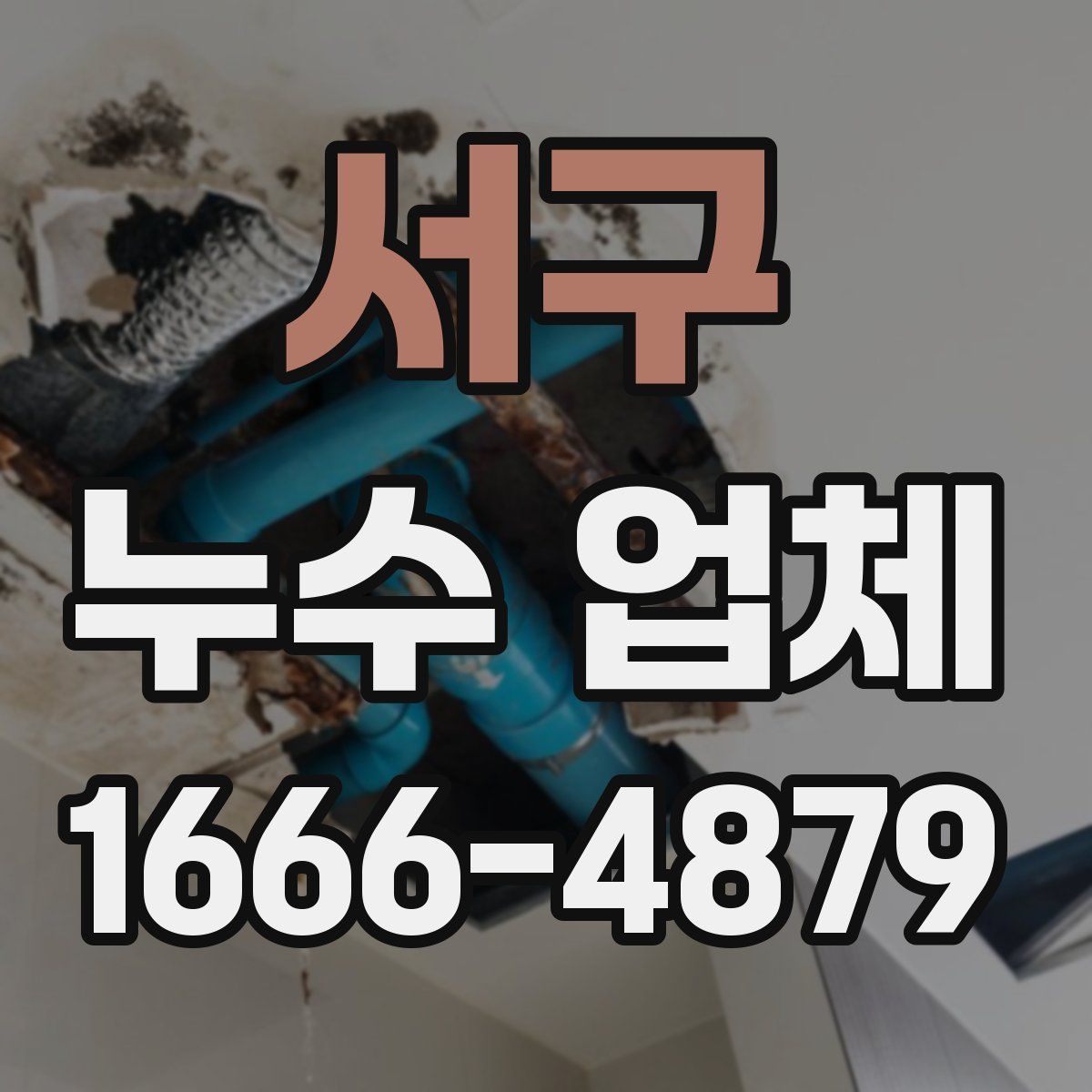 서구 누수 업체