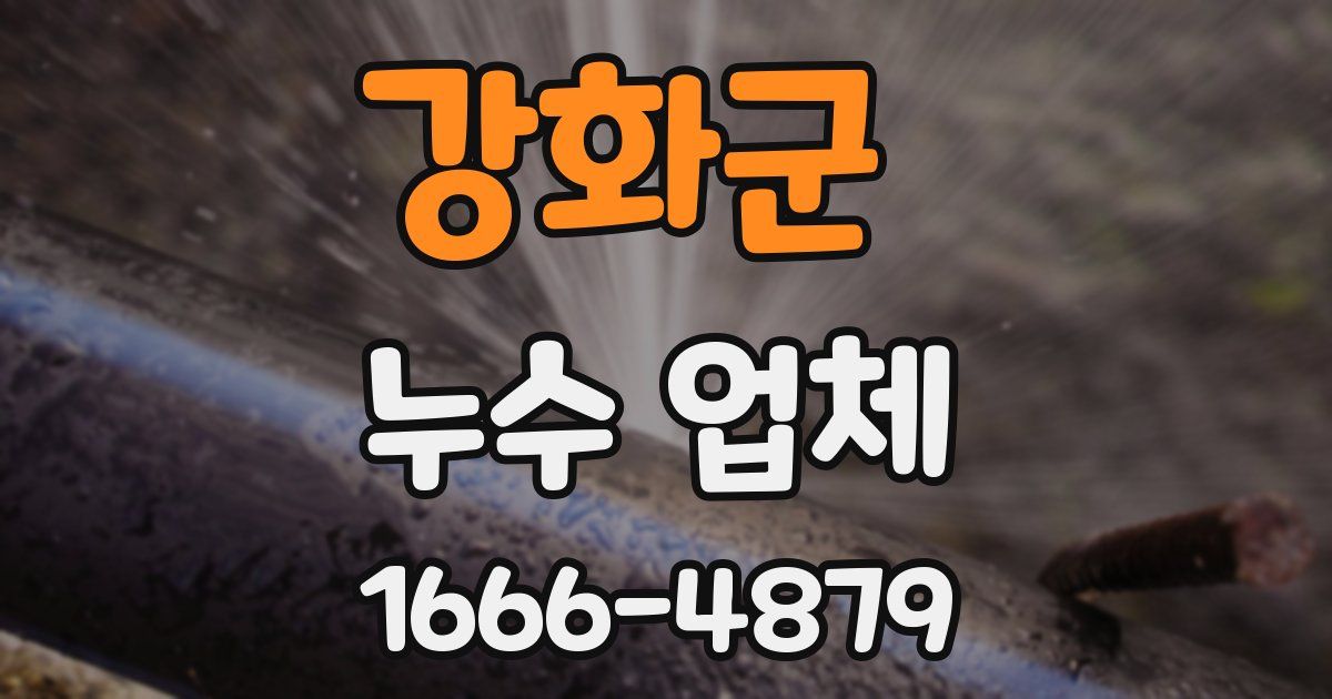 강화군 누수 업체