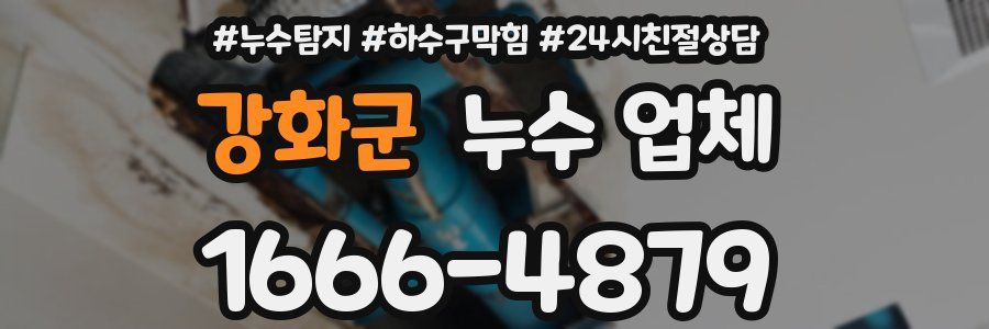 강화군 누수 업체