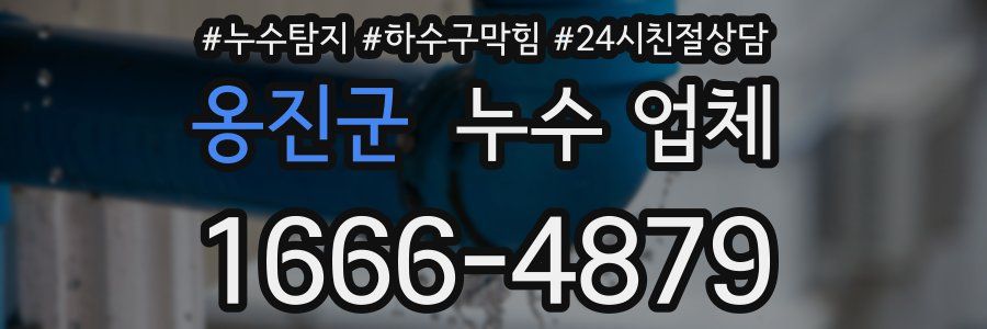 옹진군 누수 업체