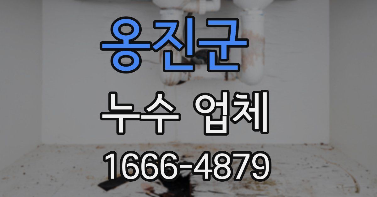 옹진군 누수 업체