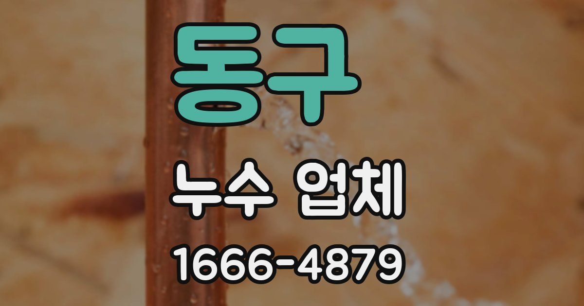 동구 누수 업체