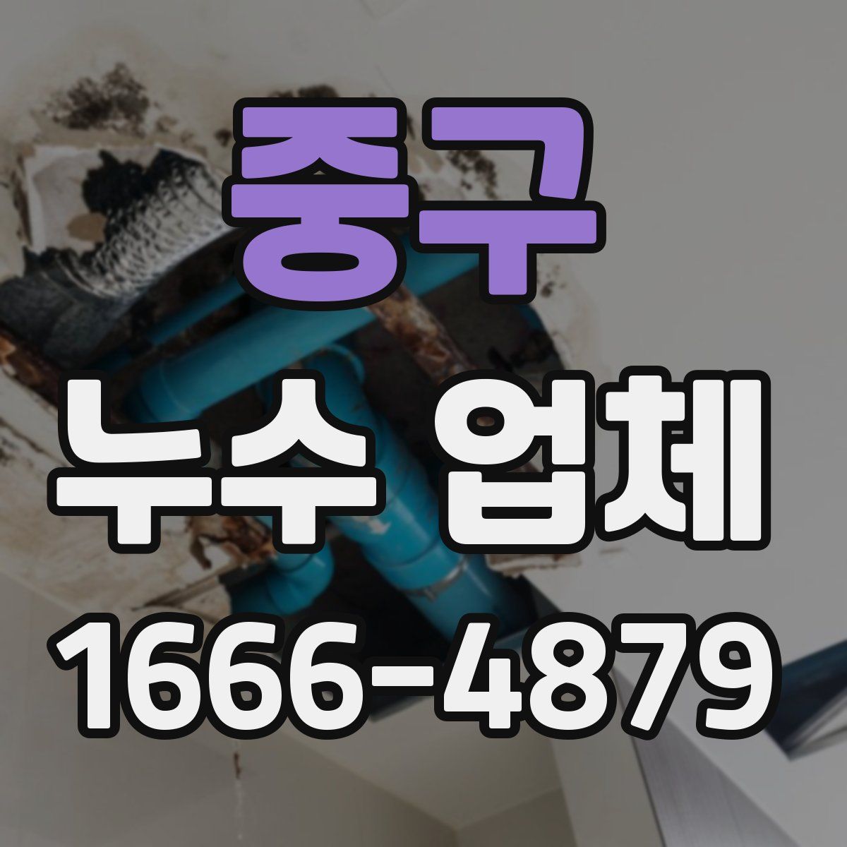 중구 누수 업체