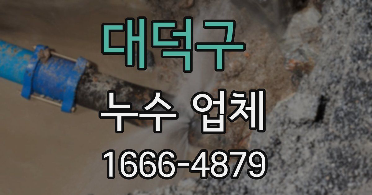 대덕구 누수 업체
