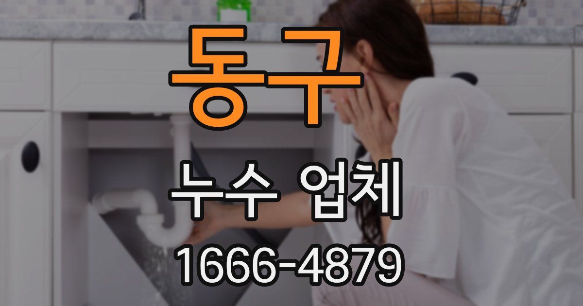 동구 누수 업체