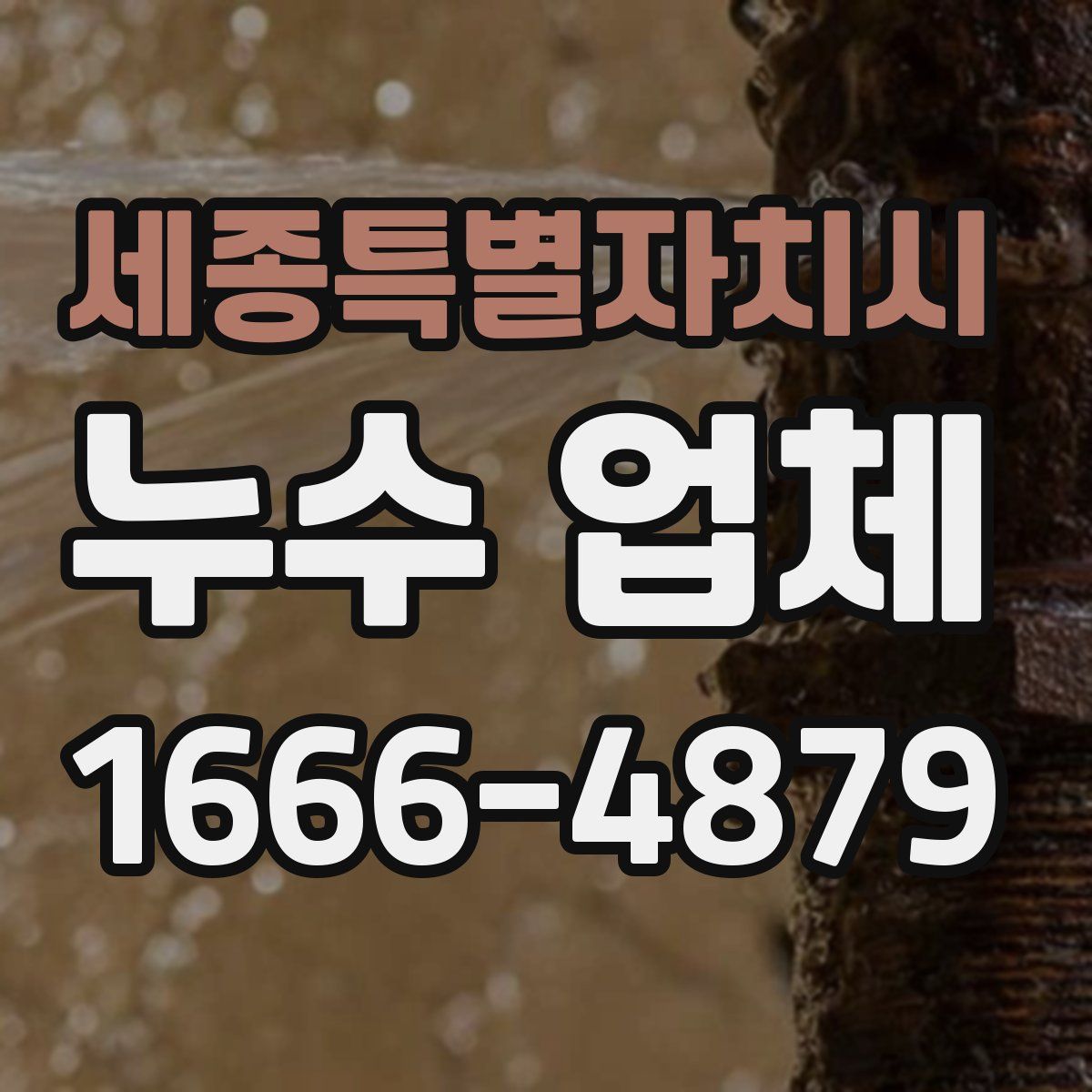 세종특별자치시 누수 업체