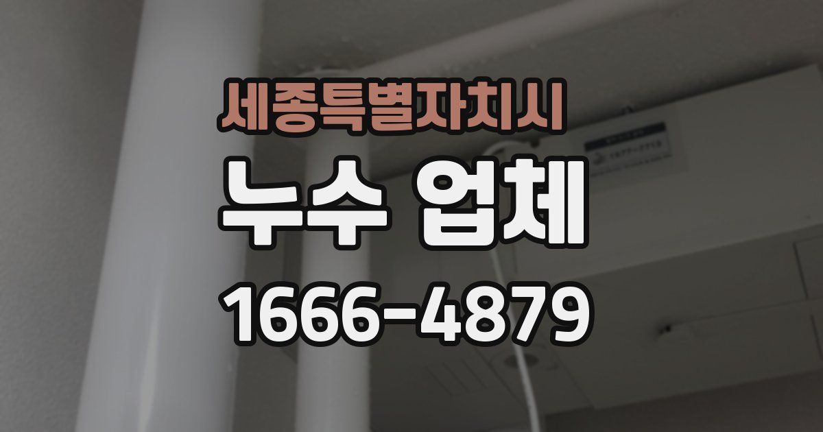 세종특별자치시 누수 업체