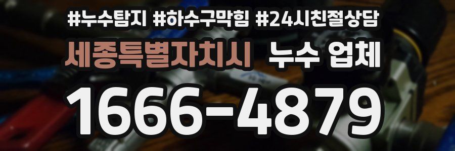 세종특별자치시 누수 업체