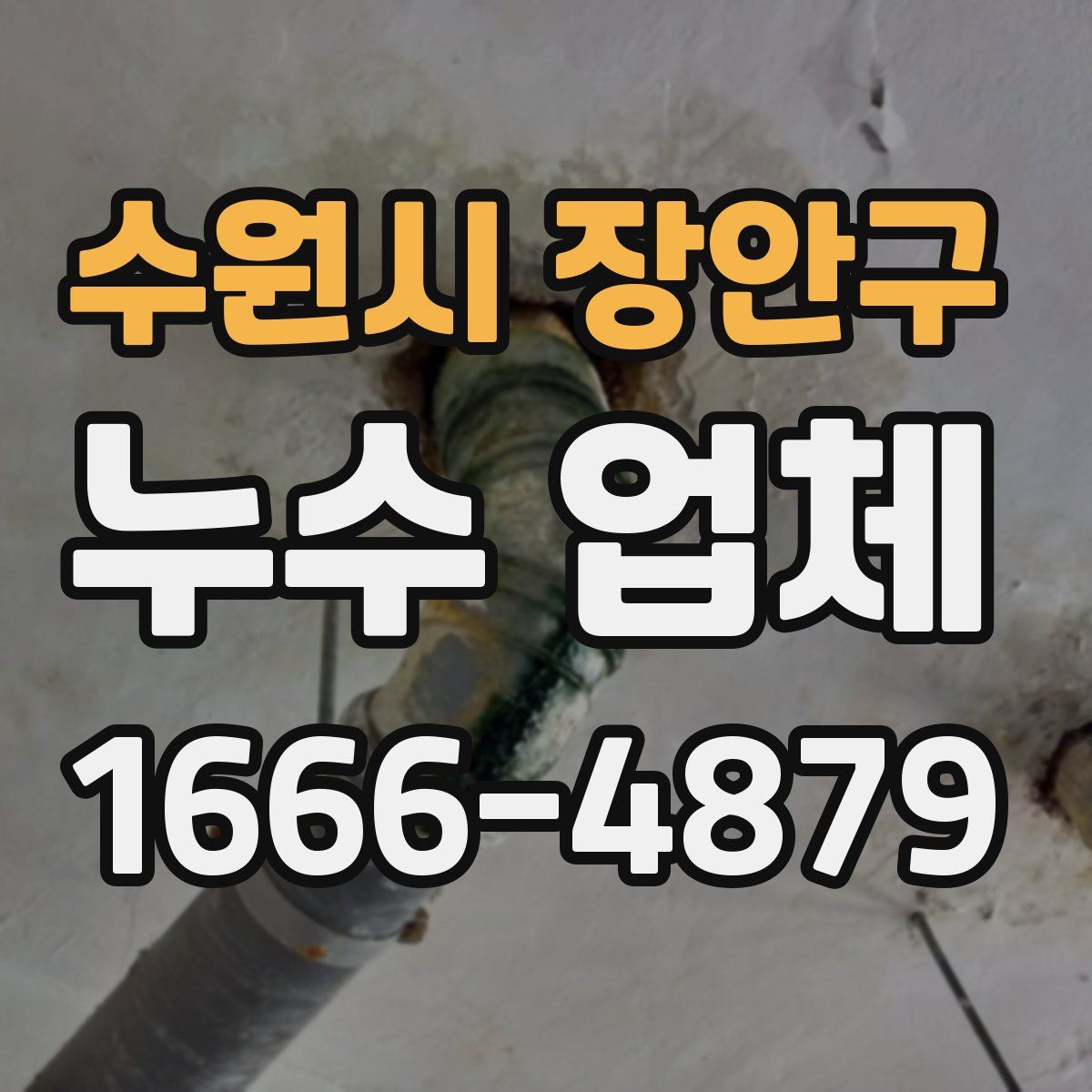 수원시 장안구 누수 업체