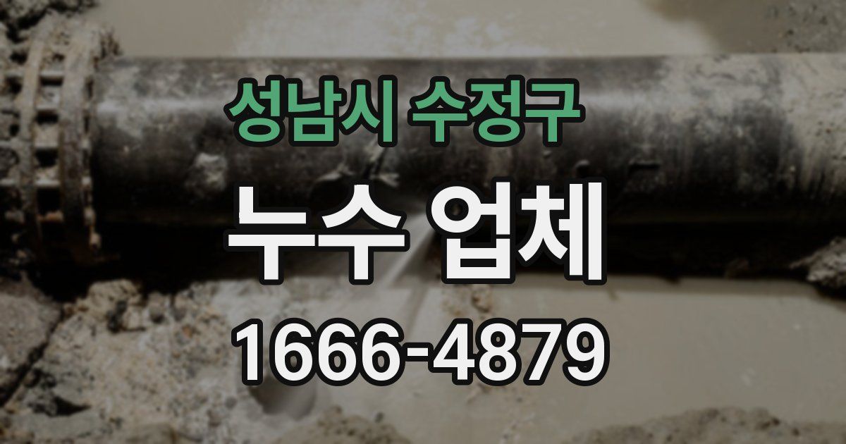 성남시 수정구 누수 업체