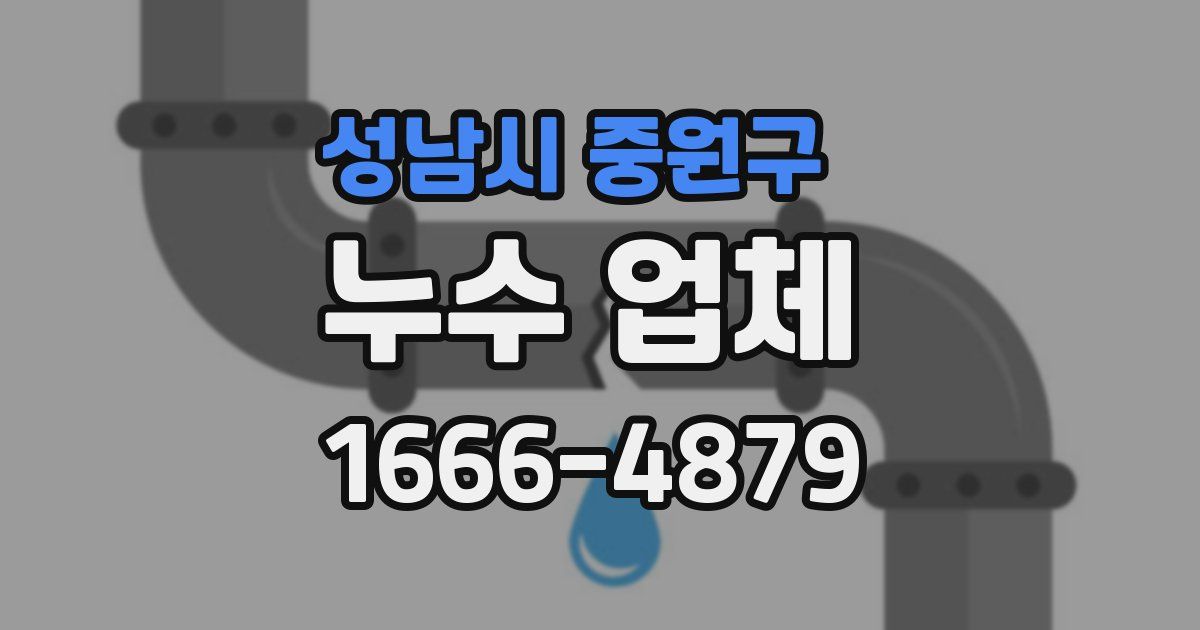 성남시 중원구 누수 업체