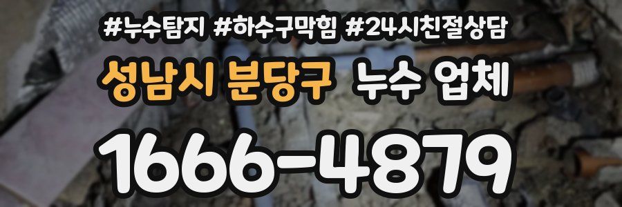 성남시 분당구 누수 업체