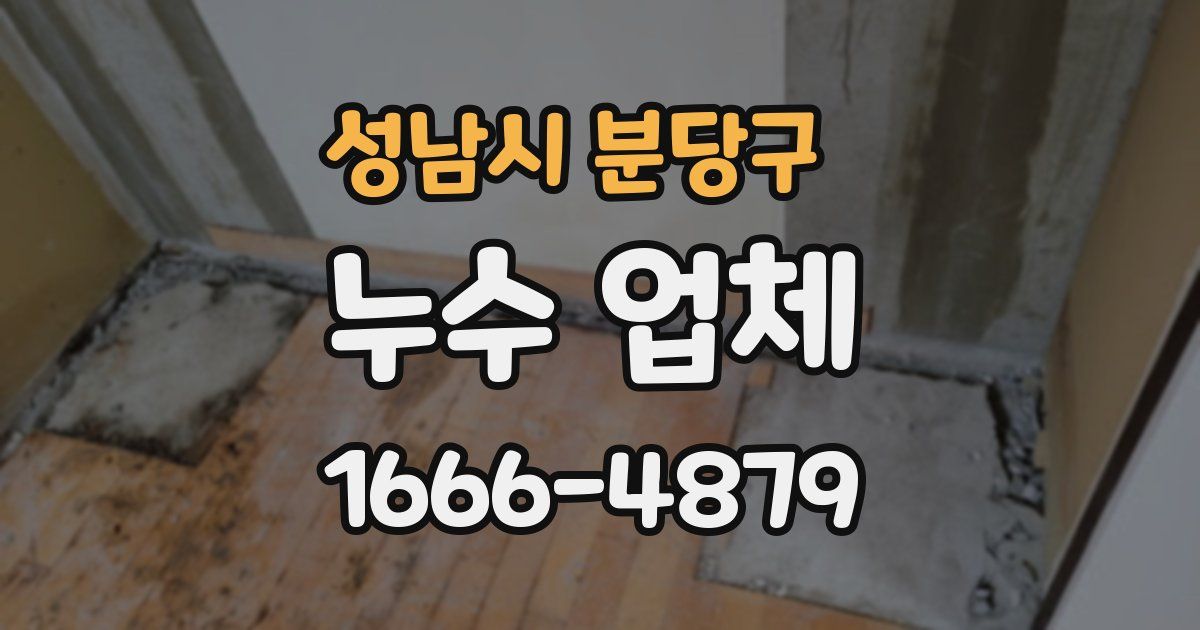 성남시 분당구 누수 업체