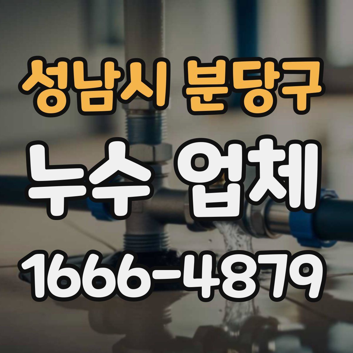 성남시 분당구 누수 업체