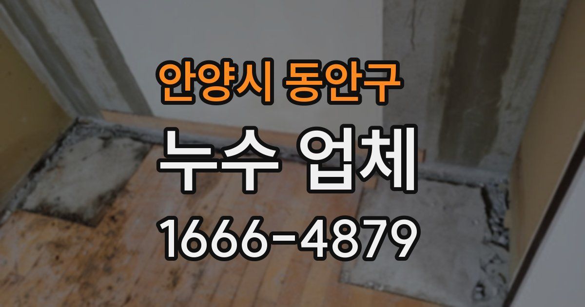 안양시 동안구 누수 업체