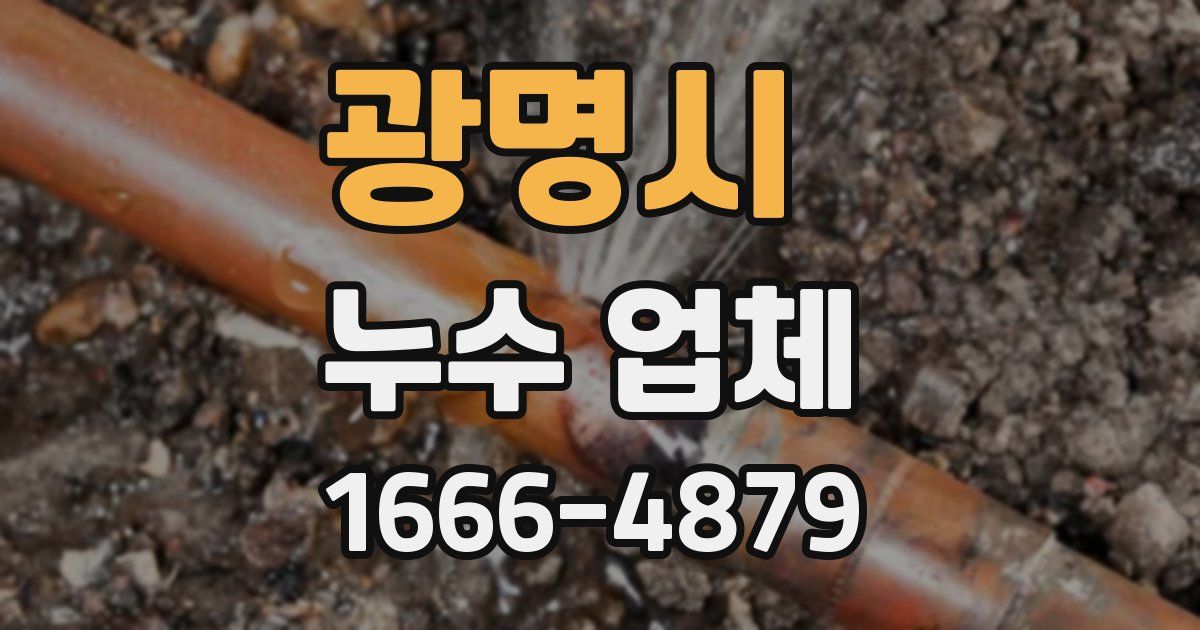 광명시 누수 업체