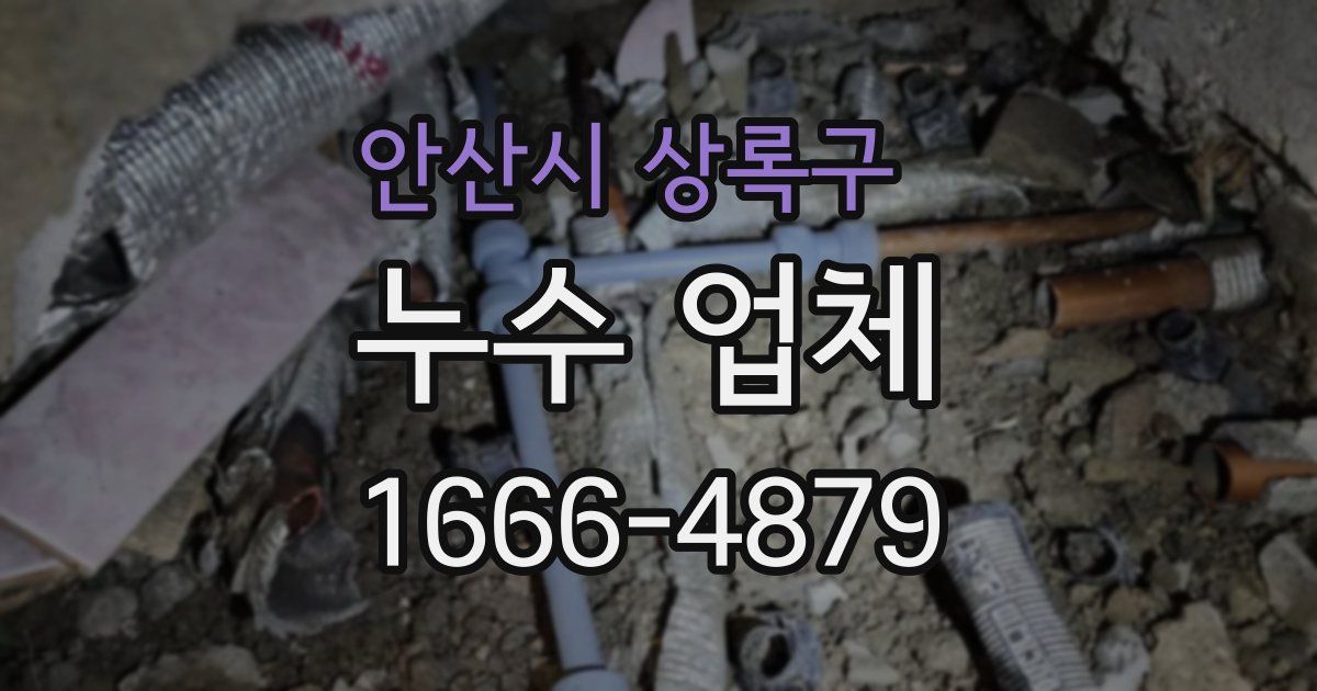 안산시 상록구 누수 업체