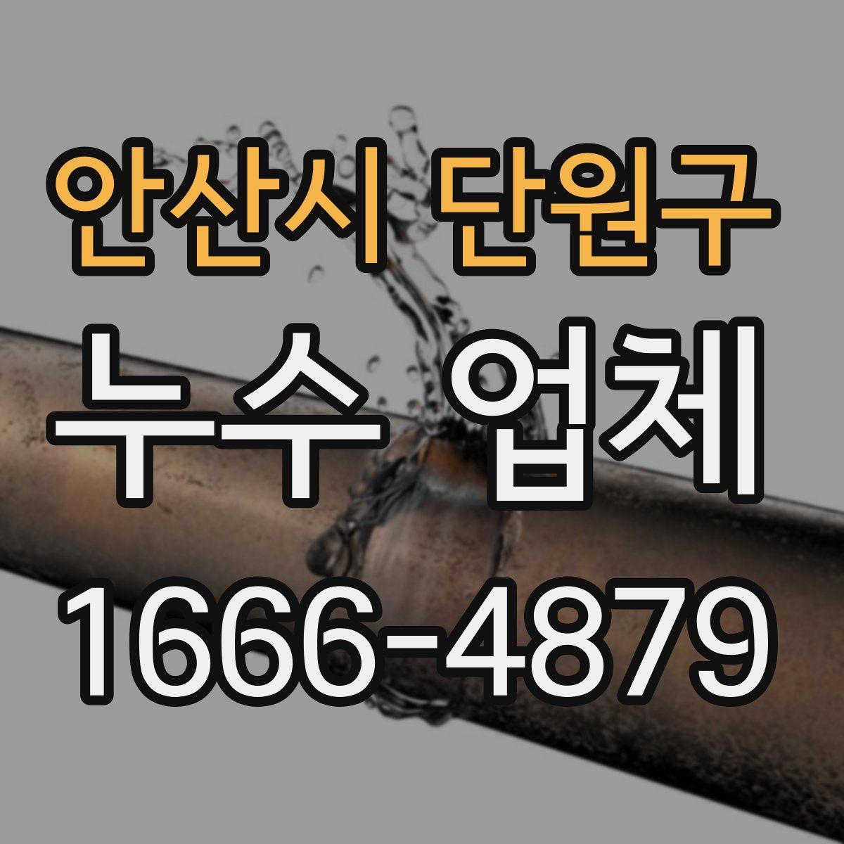 안산시 단원구 누수 업체