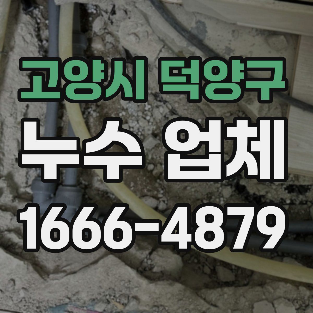 고양시 덕양구 누수 업체