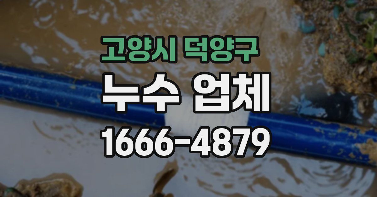 고양시 덕양구 누수 업체