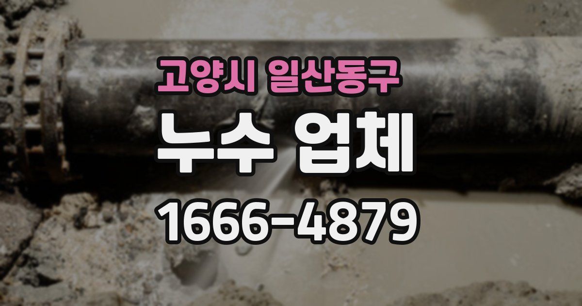 고양시 일산동구 누수 업체