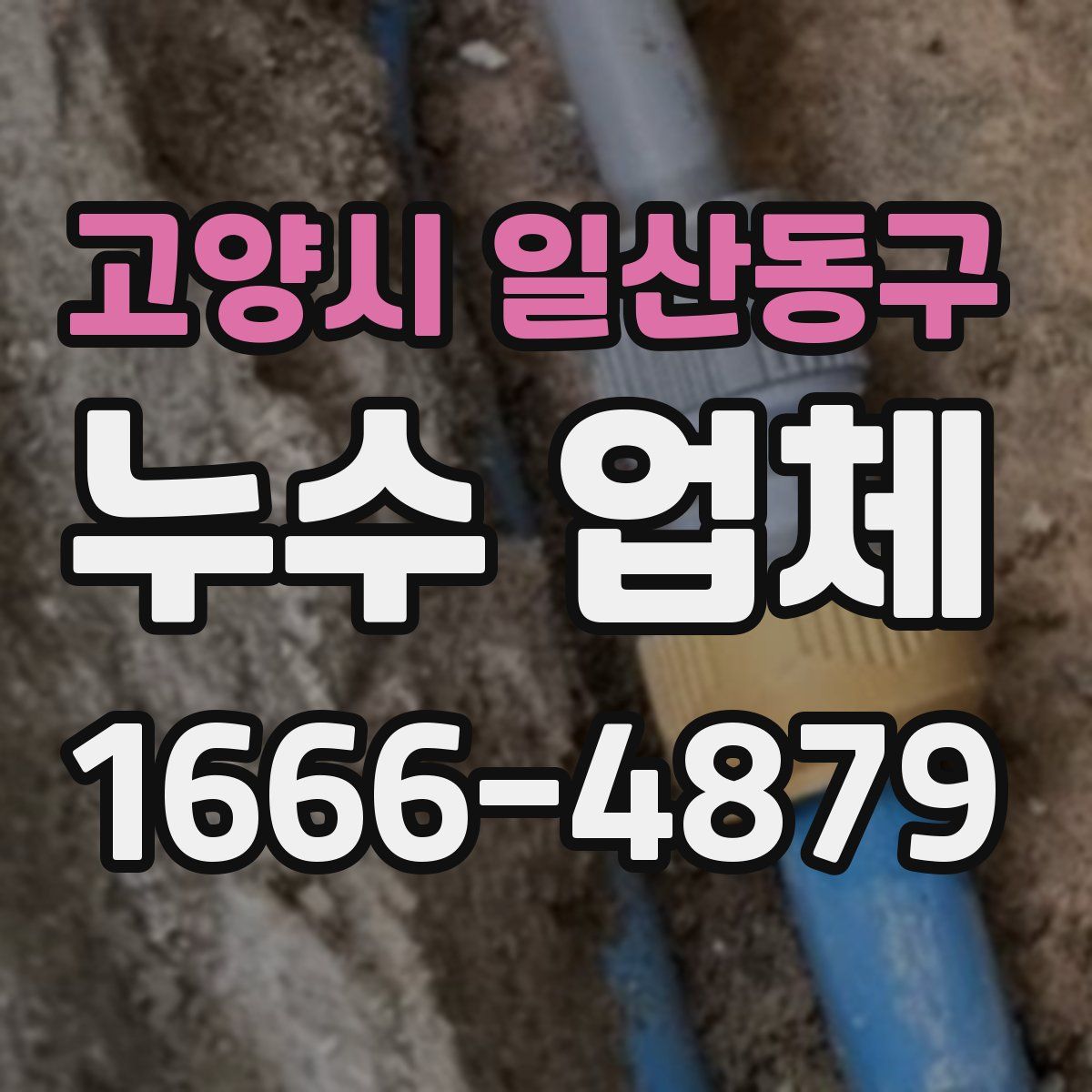 고양시 일산동구 누수 업체