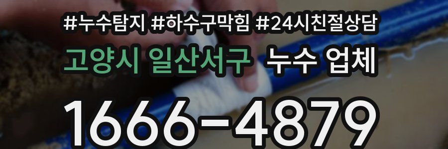 고양시 일산서구 누수 업체