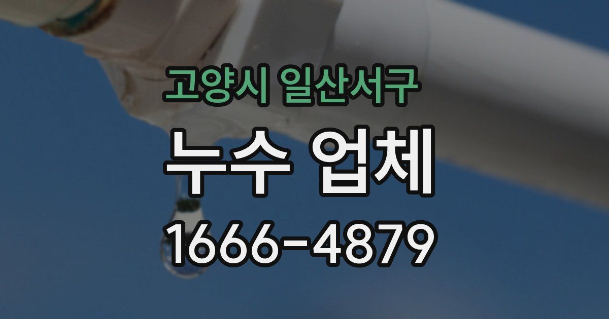 고양시 일산서구 누수 업체