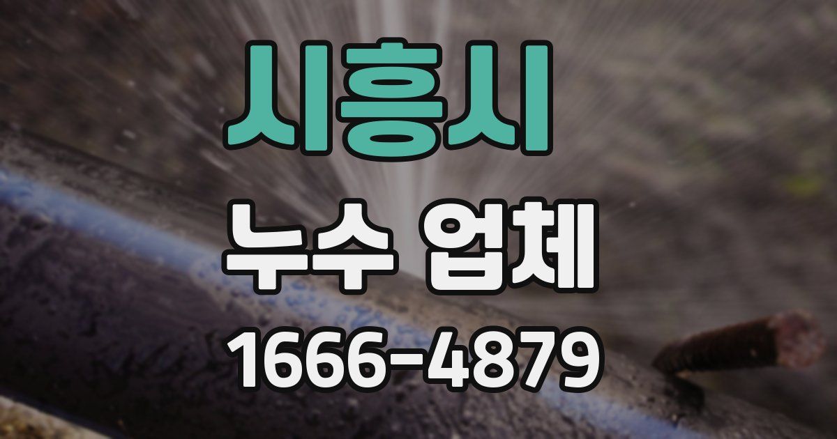 시흥시 누수 업체