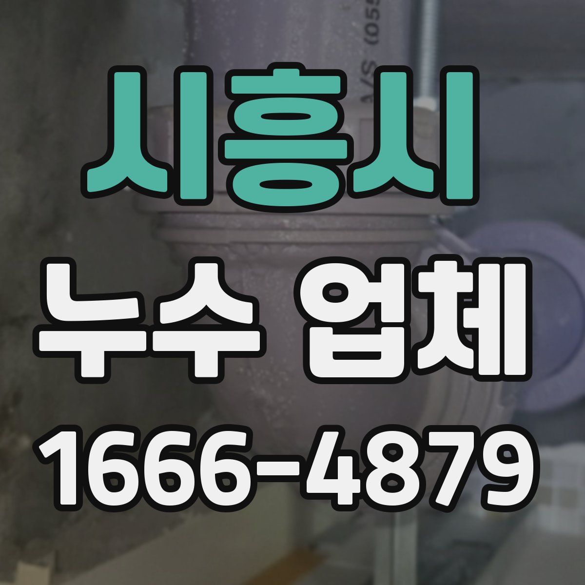 시흥시 누수 업체