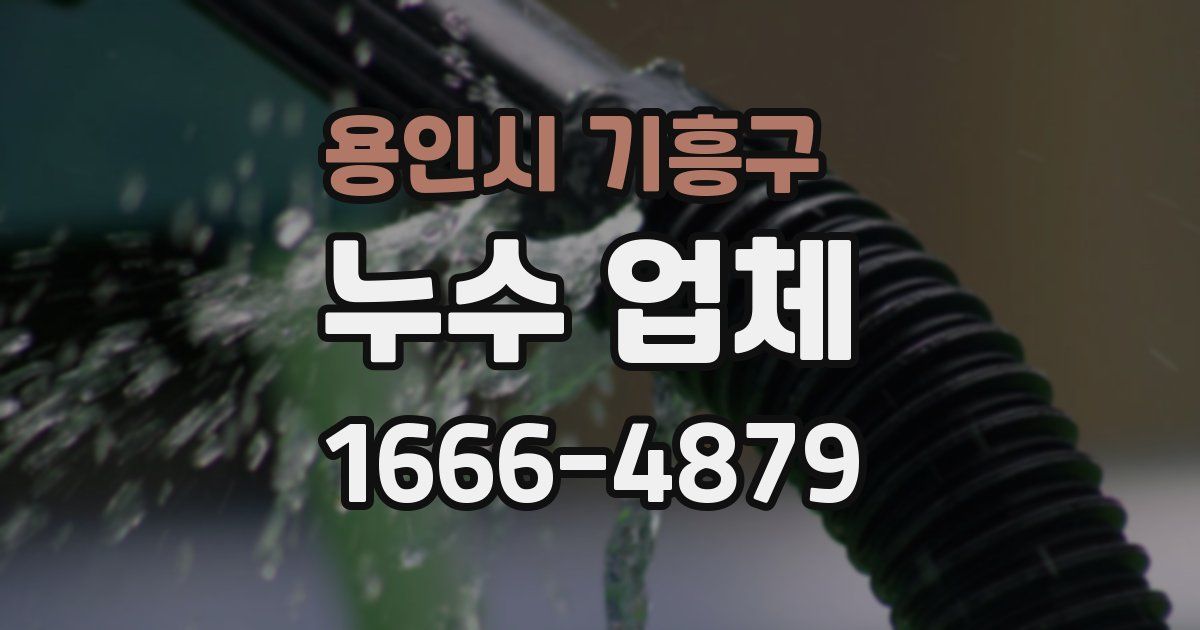 용인시 기흥구 누수 업체