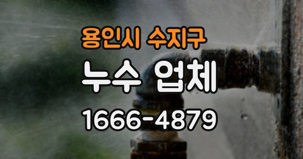 용인시 수지구 누수 업체