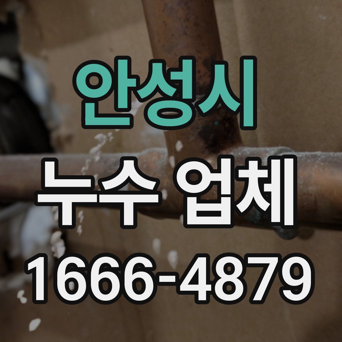 안성시 누수 업체
