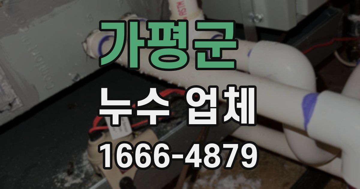 가평군 누수 업체