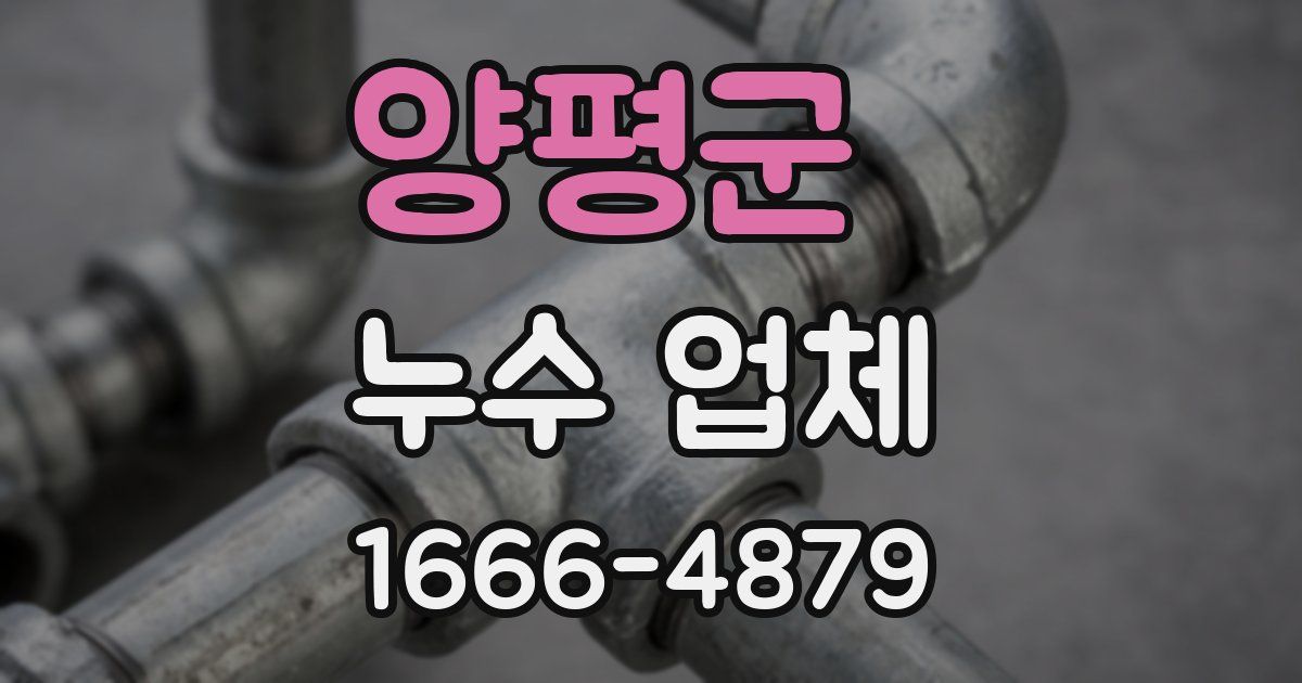 양평군 누수 업체