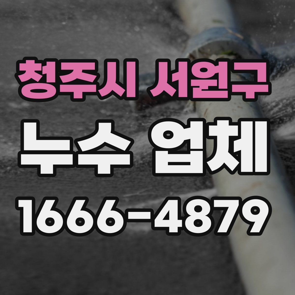 청주시 서원구 누수 업체