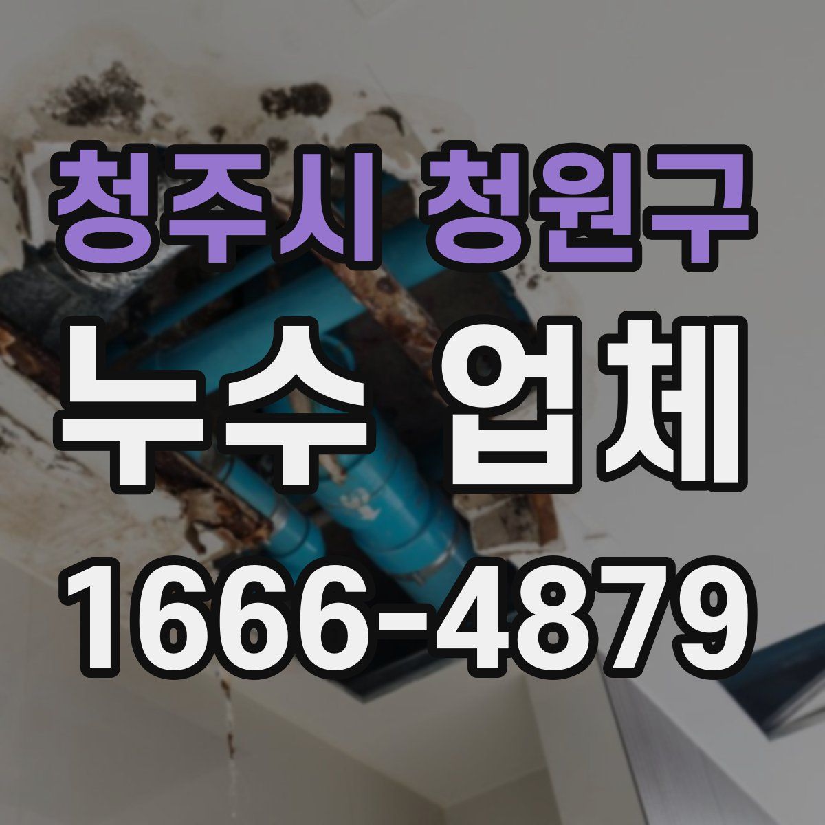 청주시 청원구 누수 업체