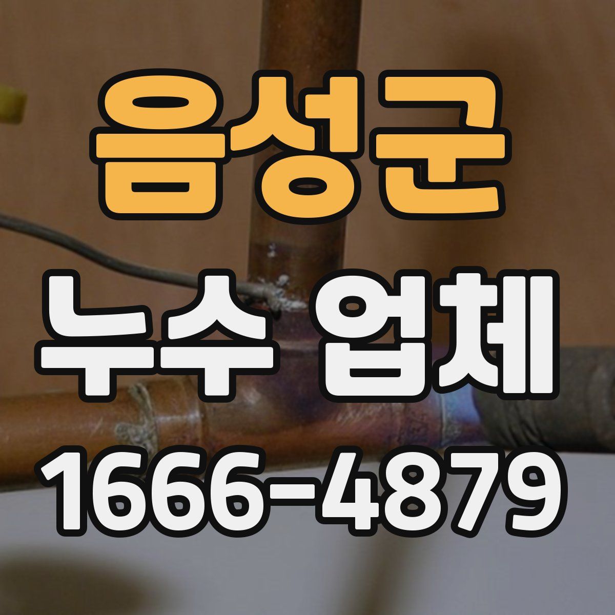 음성군 누수 업체