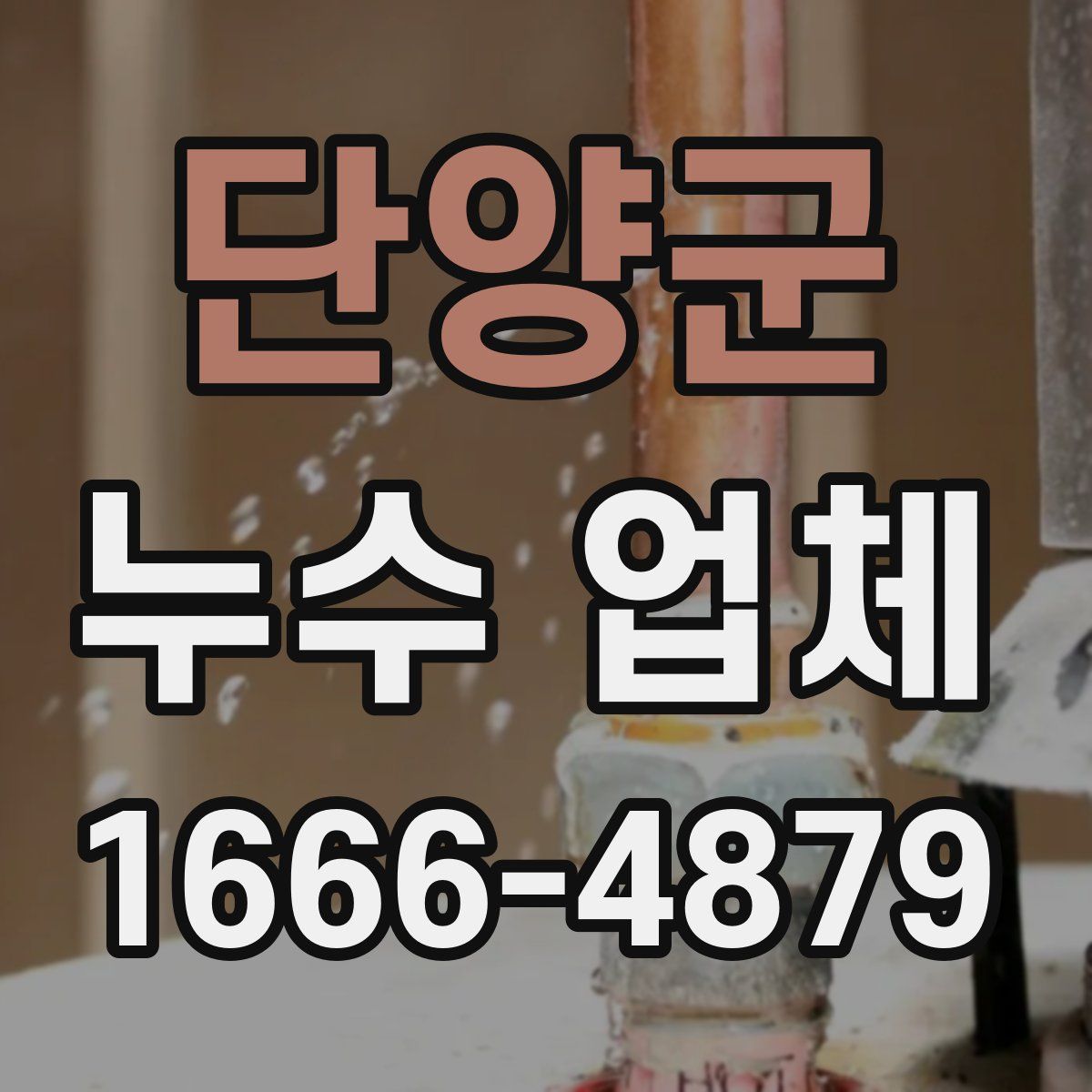 단양군 누수 업체
