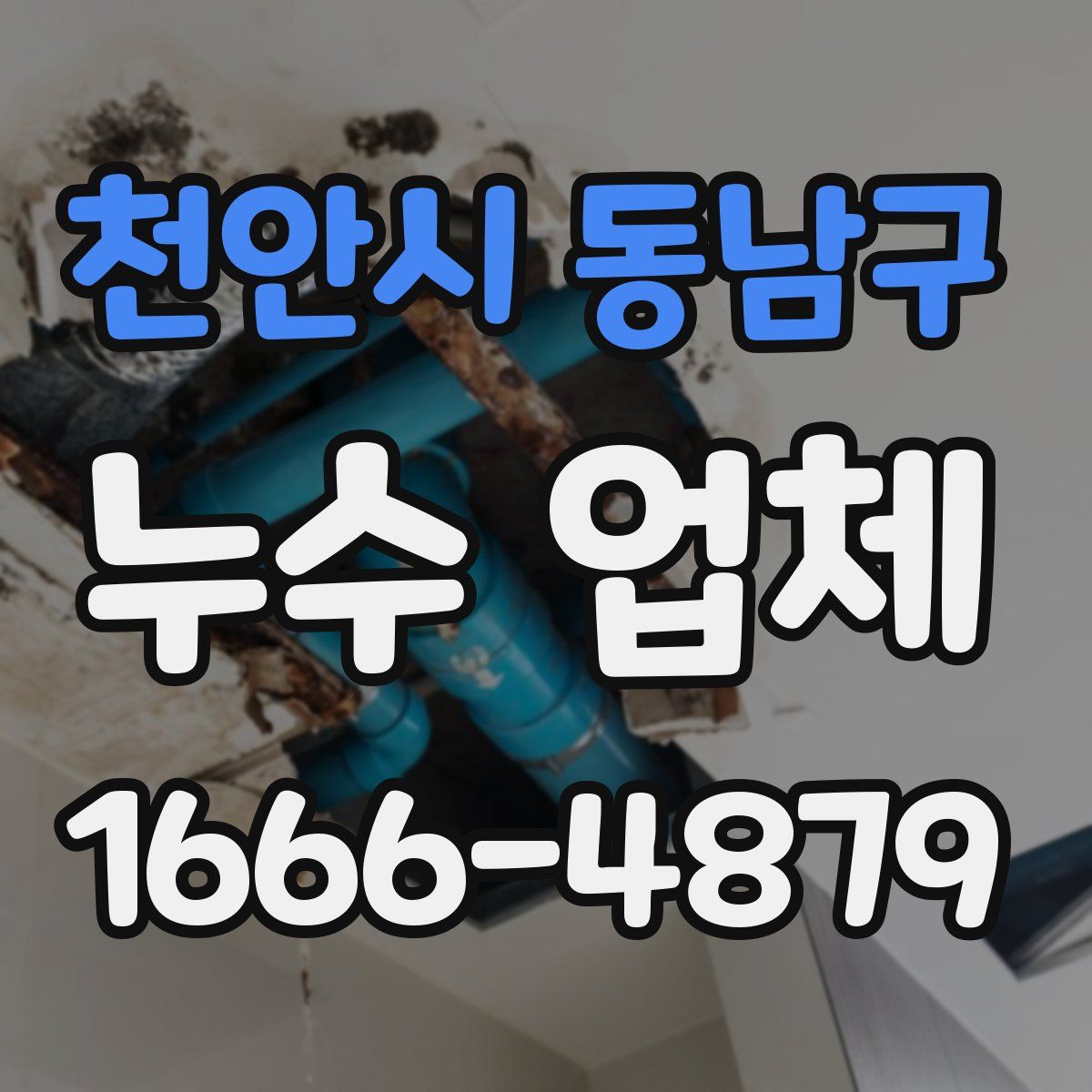 천안시 동남구 누수 업체