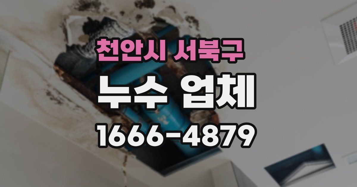 천안시 서북구 누수 업체