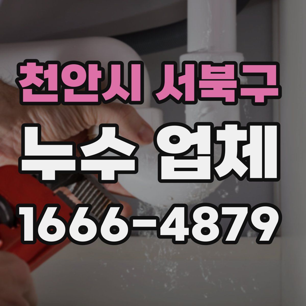 천안시 서북구 누수 업체