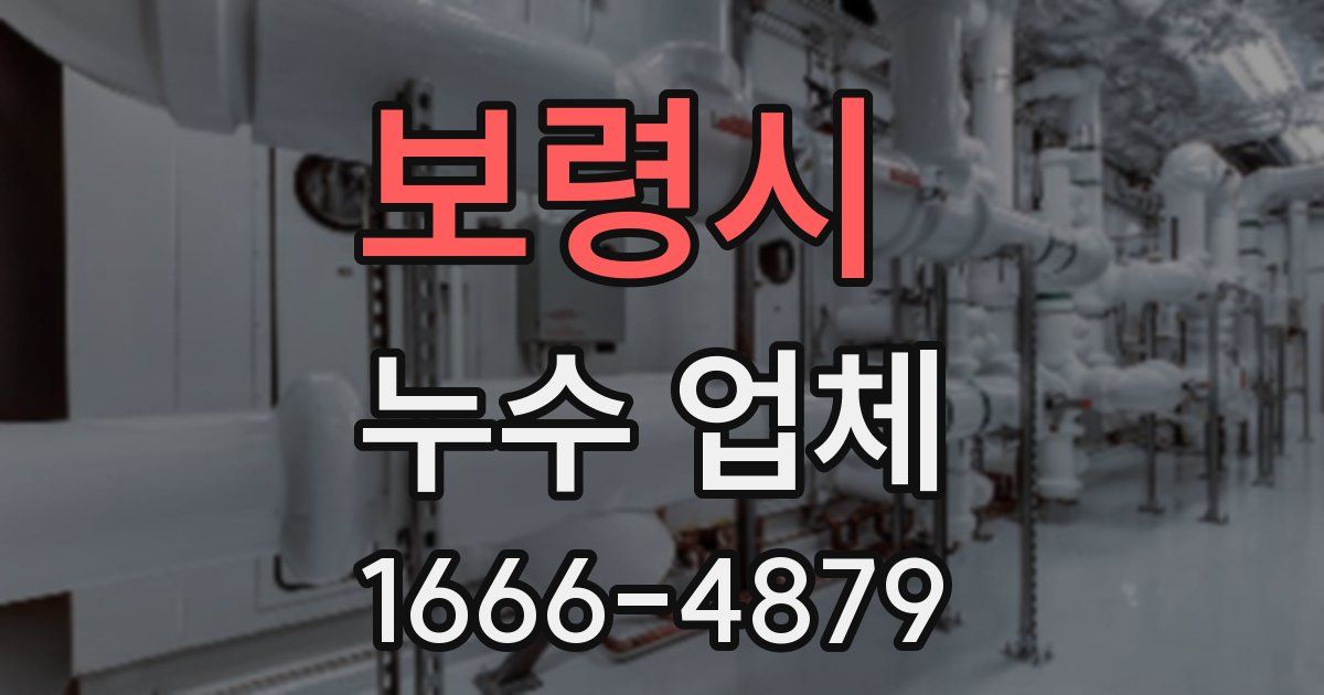 보령시 누수 업체