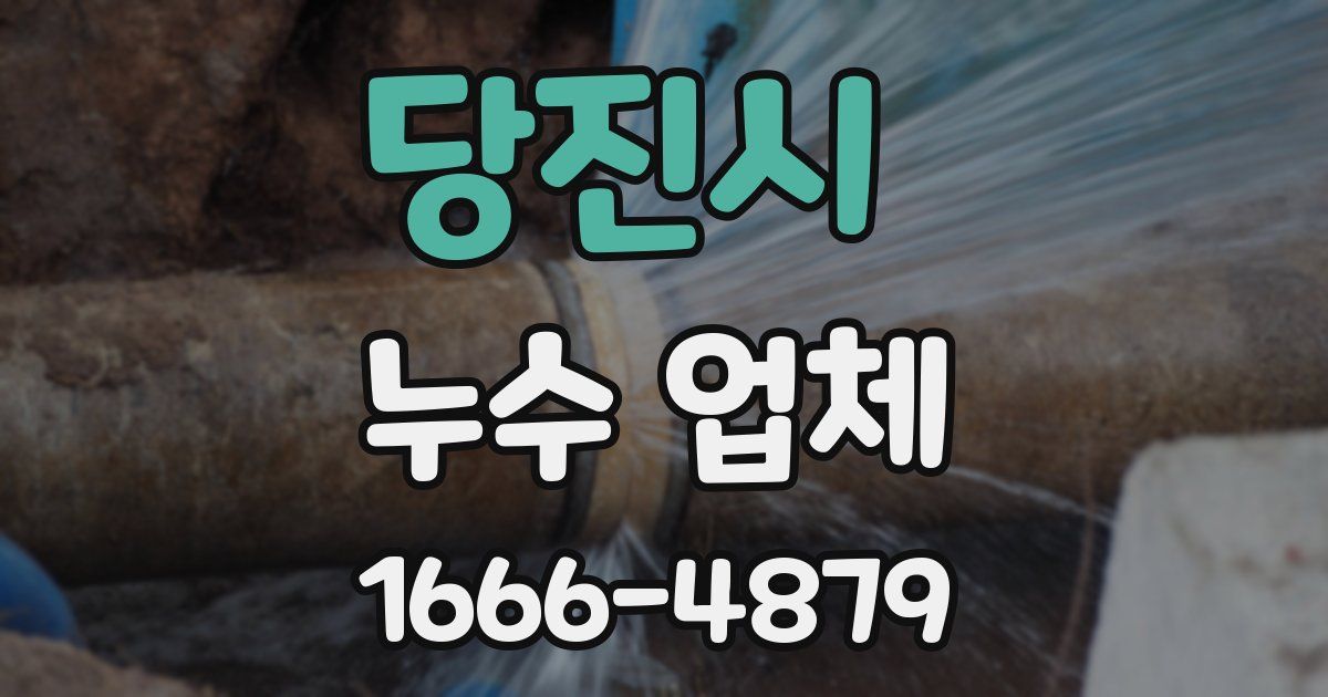 당진시 누수 업체