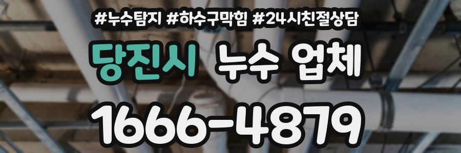 당진시 누수 업체