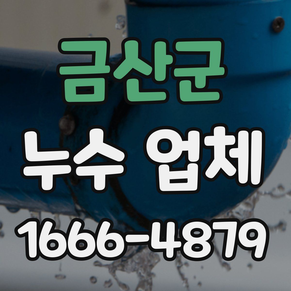금산군 누수 업체